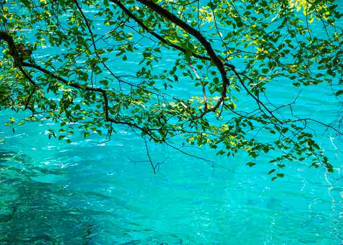 成都到王岗坪直通车亲测指南，别再傻傻转车了！-第2张图片-成都租车公司